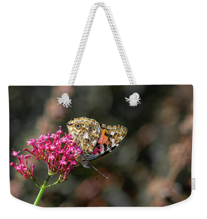 Bright Weekender Tote Bag featuring the photograph Painted Lady Butterfly with wings closed by Scott Lyons