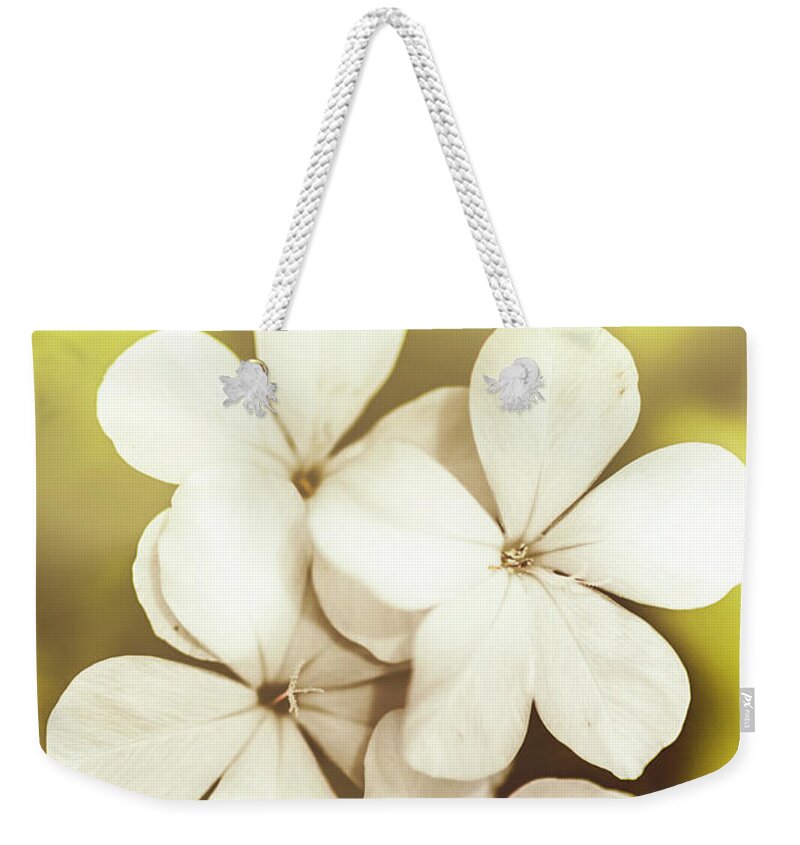 White Weekender Tote Bag featuring the photograph Pale wildflowers by Jorgo Photography