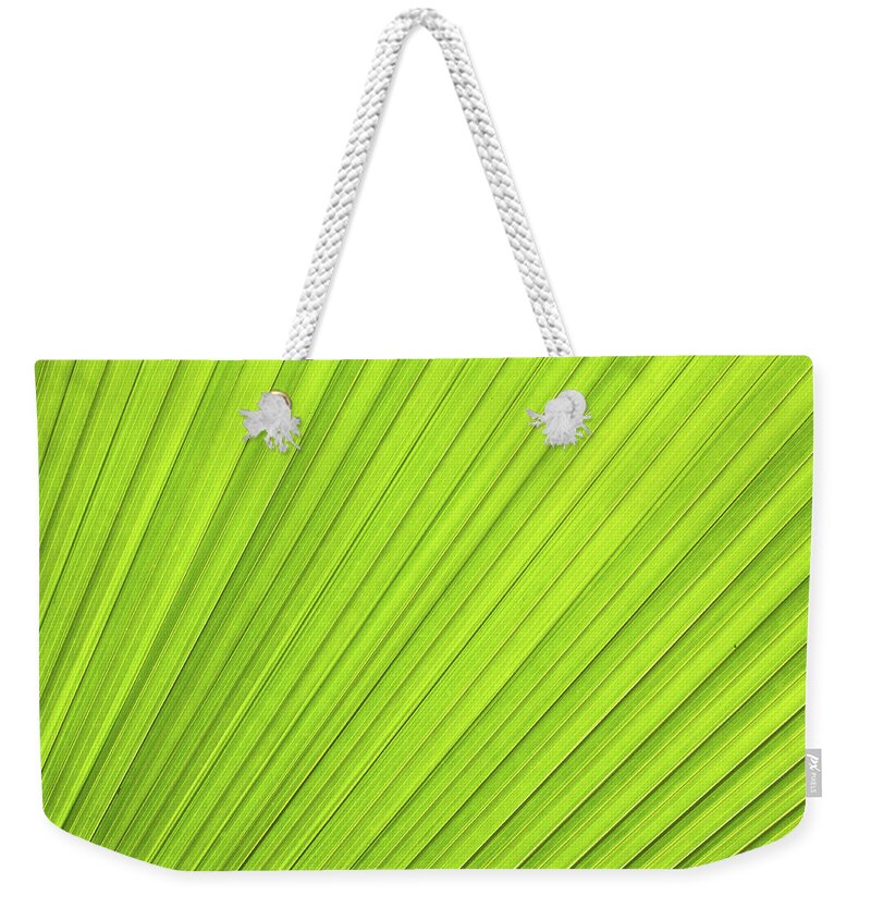 In A Row Weekender Tote Bag featuring the photograph Palm Background by Rusm