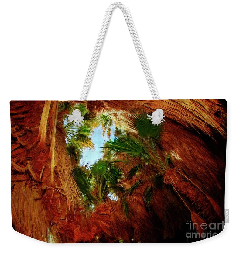  Weekender Tote Bag featuring the photograph Palm Tree Cave Coachella Valley Preserve by Blake Richards