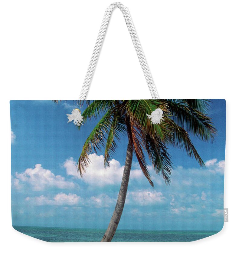 Scenics Weekender Tote Bag featuring the photograph Palm Tree On George Smathers Beach In by Medioimages/photodisc