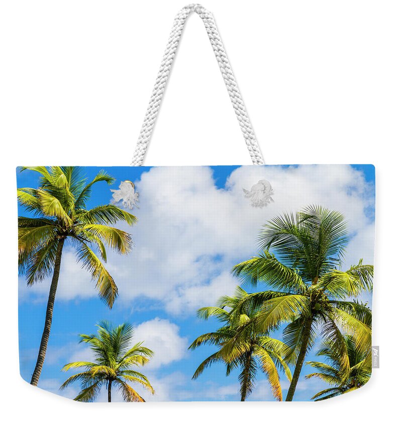 Tropical Tree Weekender Tote Bag featuring the photograph Palm Trees by Oriredmouse