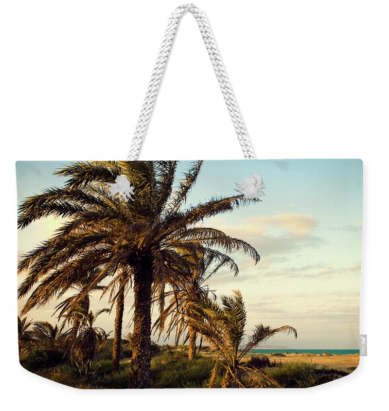 Tranquility Weekender Tote Bag featuring the photograph Palm by You Can Buy This Photo.
