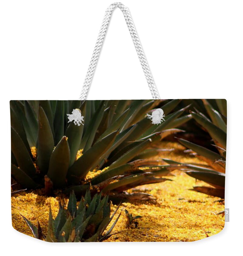 Palo Brea Weekender Tote Bag featuring the photograph Palo Brea Blossoms Covering Agave Gardens by Colleen Cornelius