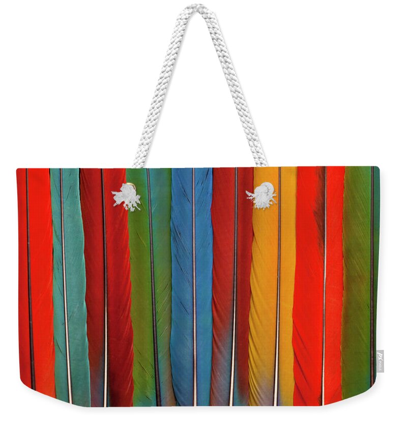 Macaw Weekender Tote Bag featuring the photograph Pan Of 13 Macaw Tail Feathers by Darrell Gulin