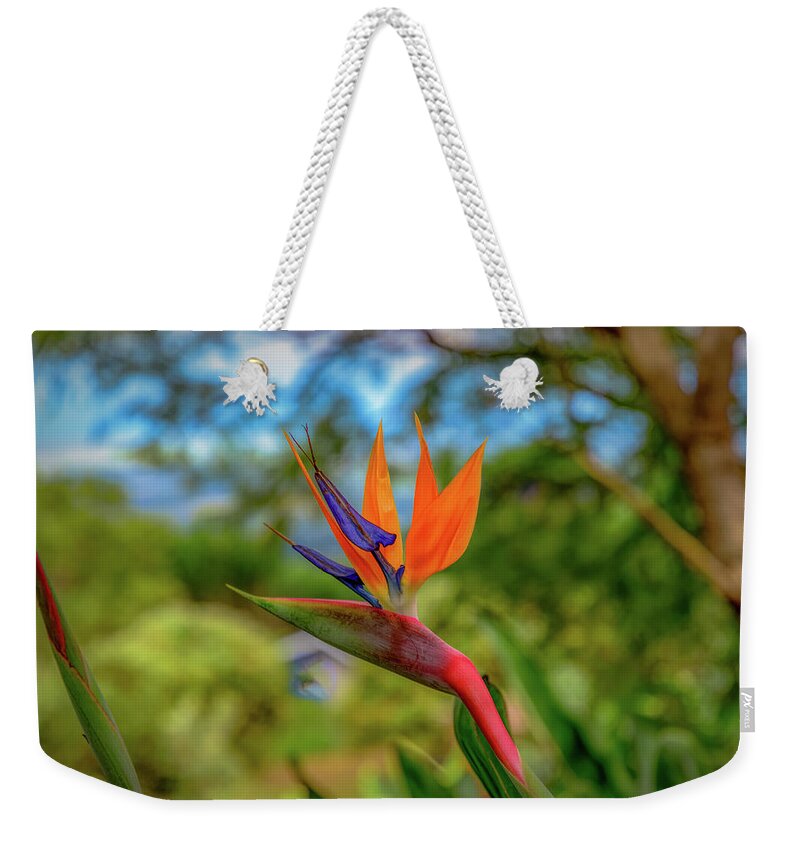 Hawaii Weekender Tote Bag featuring the photograph Paradise Red Bird by G Lamar Yancy