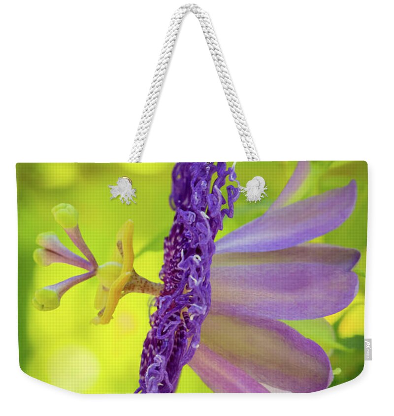 Artsy Weekender Tote Bag featuring the photograph Passionate Purple Passiflora by Sabrina L Ryan