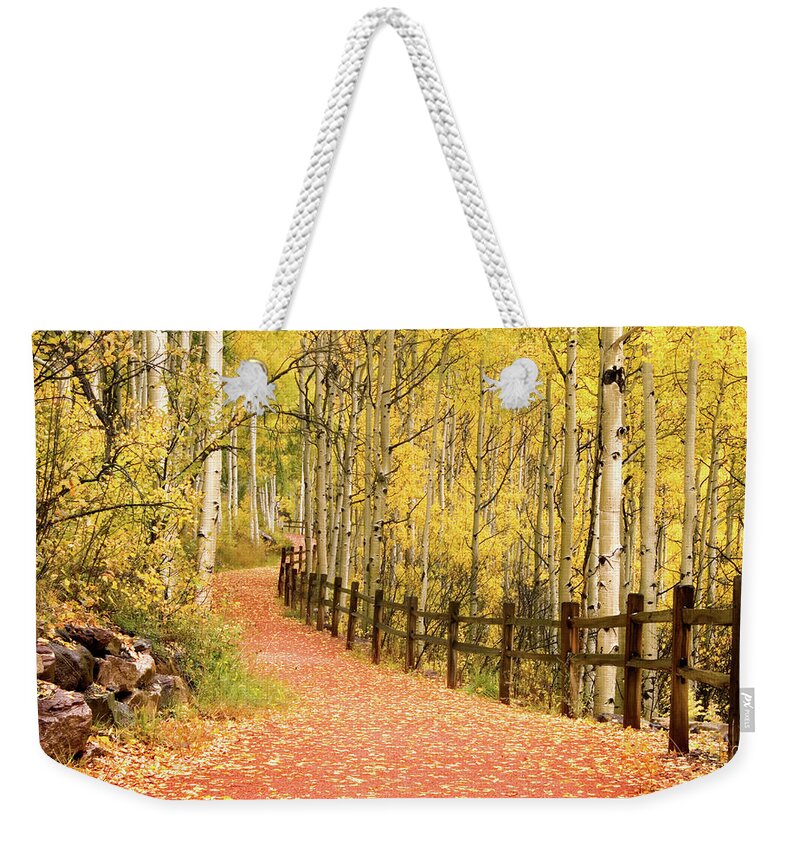 Scenics Weekender Tote Bag featuring the photograph Path Through Aspens Trees by Kathy Van Torne
