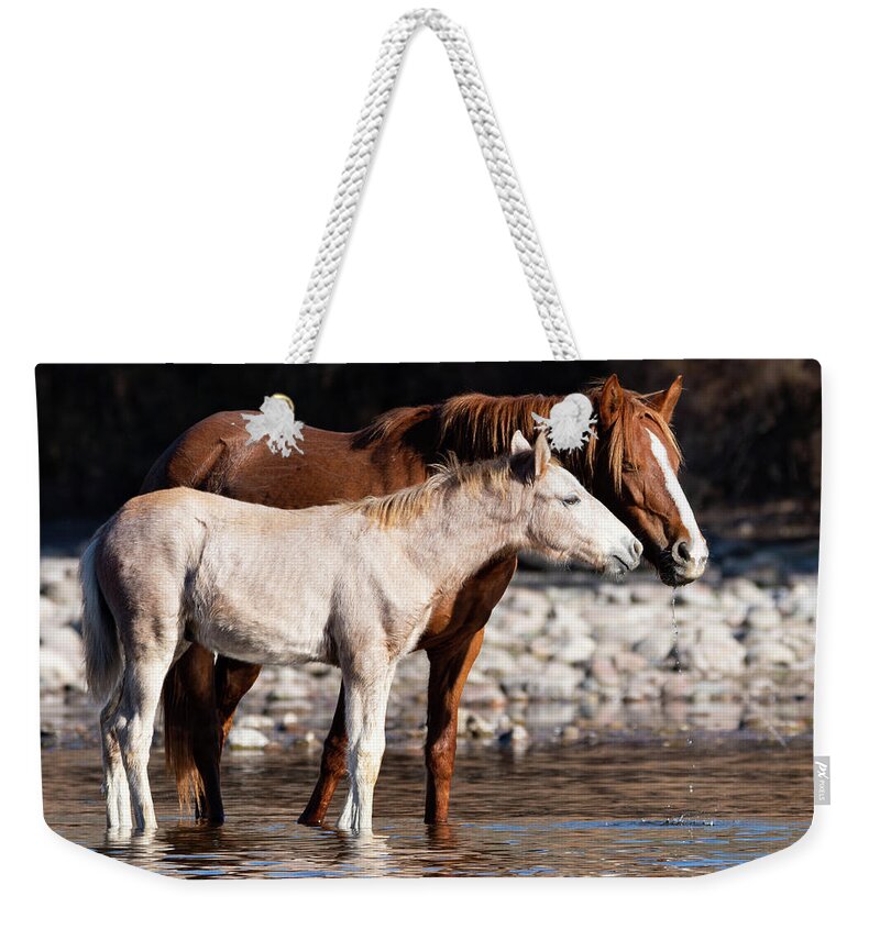Wild Horses Weekender Tote Bag featuring the photograph Peace by Mary Hone