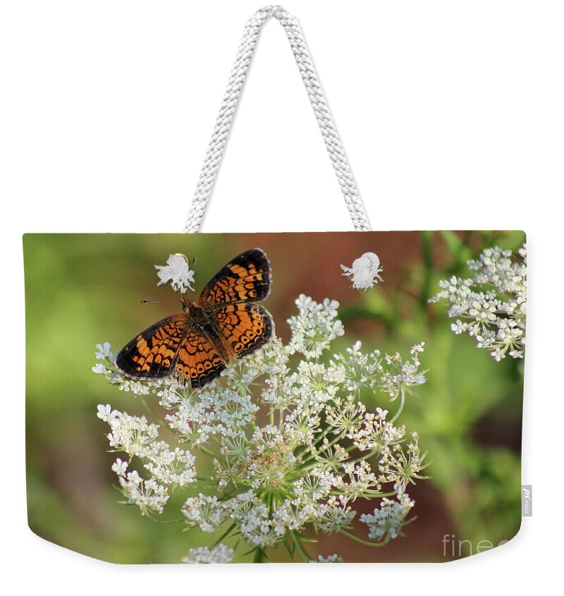 Pearl Crescent Butterfly Weekender Tote Bag featuring the photograph Pearl on Lace by Karen Adams