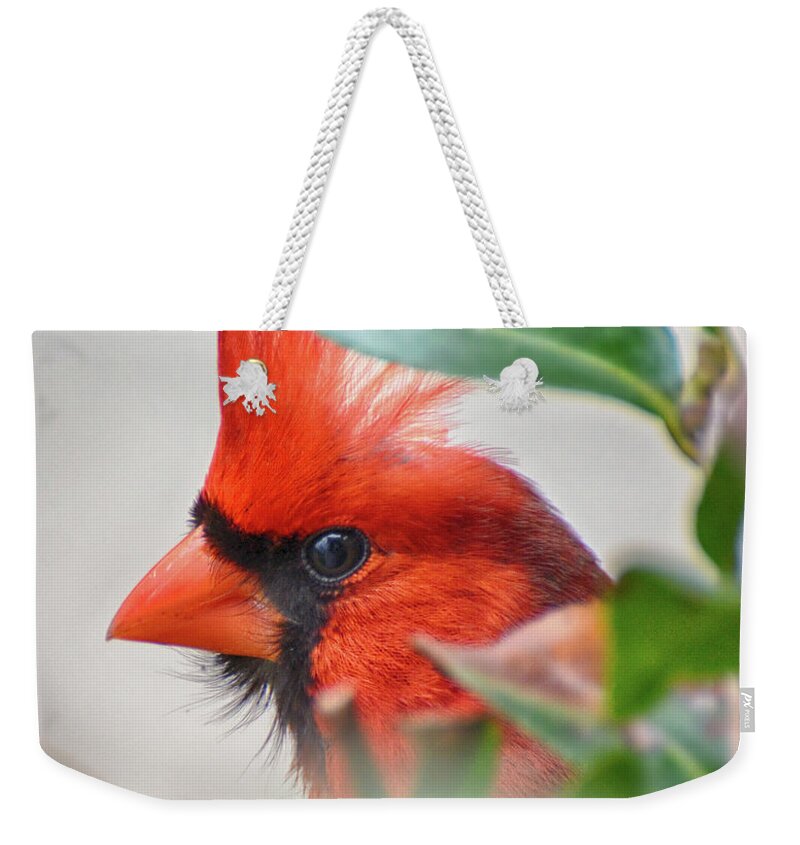 Peek-a-boo Weekender Tote Bag featuring the photograph Peek A Boo by Michael Frank