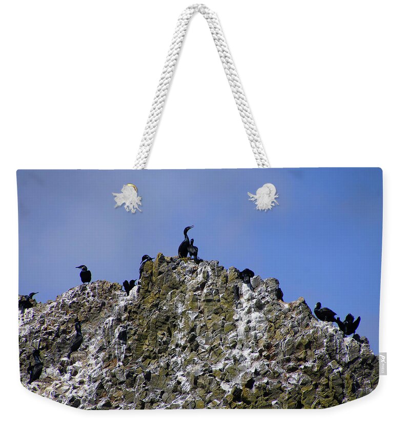 Coast Weekender Tote Bag featuring the photograph Pelagic cormorant by Steve Estvanik