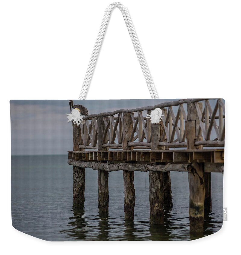 Pelican Weekender Tote Bag featuring the photograph Pelican, Cancun, Mexico by Julieta Belmont