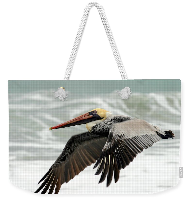 Pelican Weekender Tote Bag featuring the photograph Pelican Glide by Anthony Jones