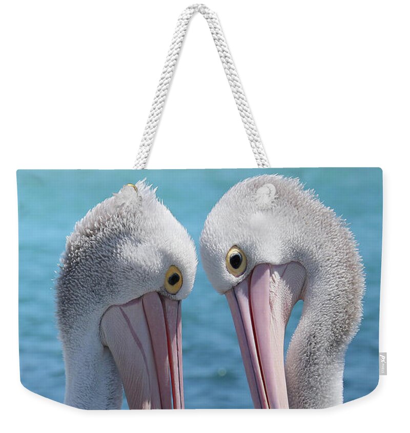 Pelican Love Weekender Tote Bag featuring the digital art Pelican love 06163 by Kevin Chippindall