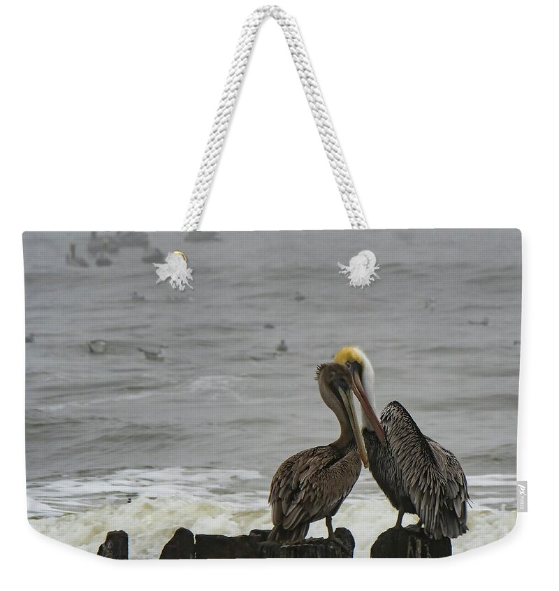 Pelican Weekender Tote Bag featuring the photograph Pelican Love by Jerry Connally