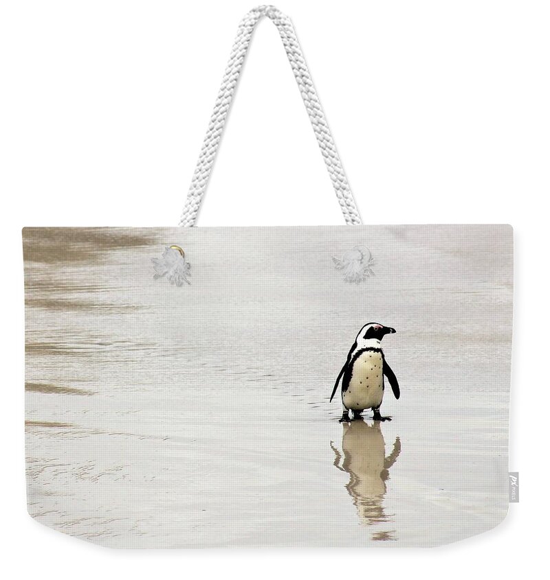 Penguin Weekender Tote Bag featuring the photograph Penguin Reflection by FD Graham