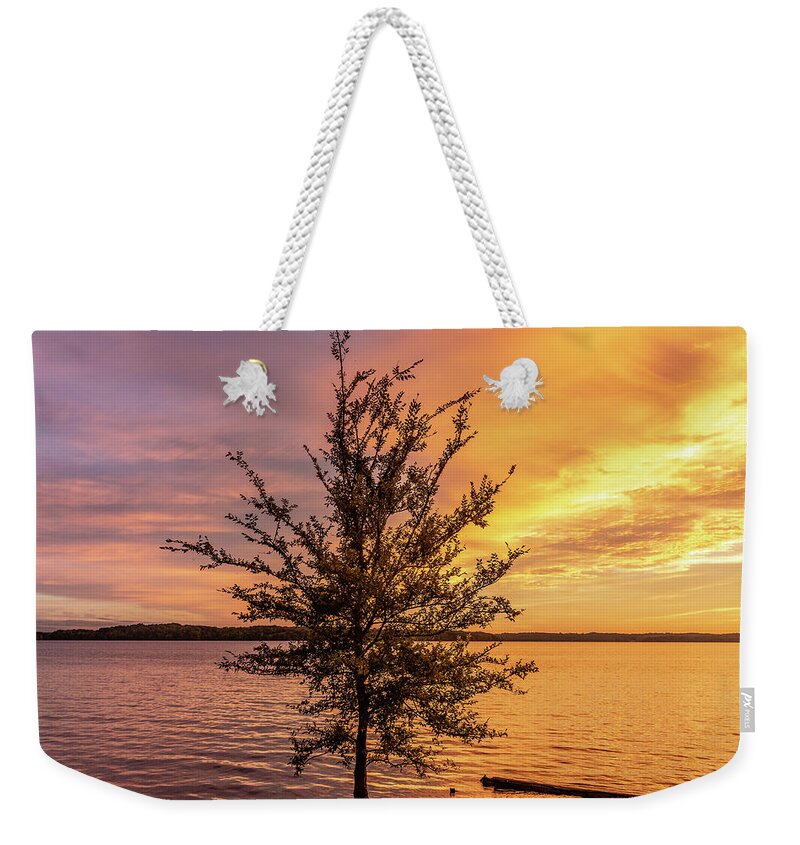 Percy Priest Lake Weekender Tote Bag featuring the photograph Percy Priest Lake Sunset Young Tree by D K Wall