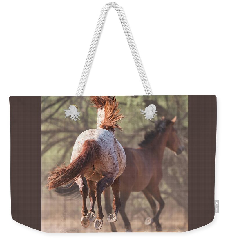 Chase Weekender Tote Bag featuring the photograph Perfect Hooves by Shannon Hastings
