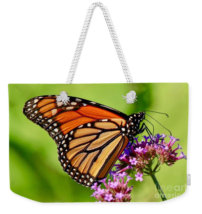 Butterfly Weekender Tote Bag featuring the photograph Perfect Monarch by Susan Rydberg