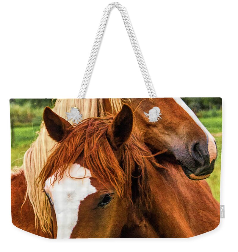 Peruvian Paso Horses Weekender Tote Bag featuring the photograph Peruvian Paso Pals by Priscilla Burgers