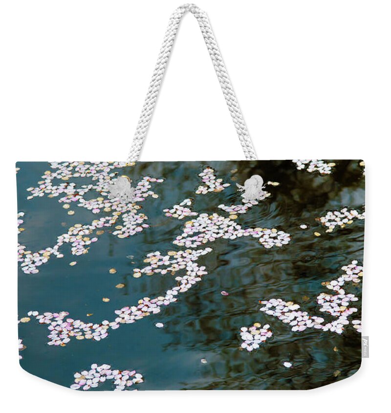 Tranquility Weekender Tote Bag featuring the photograph Petals Of Cherry Blossoms by I Love Photo And Apple.