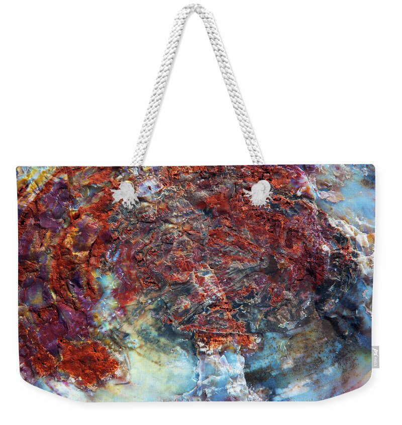 Mineral Weekender Tote Bag featuring the photograph Petrified Wood Fossil by Lucynakoch