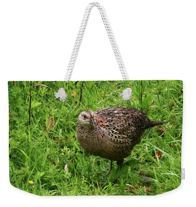 Pheasant Weekender Tote Bag featuring the photograph Pheasant In The Rain by Jeff Townsend