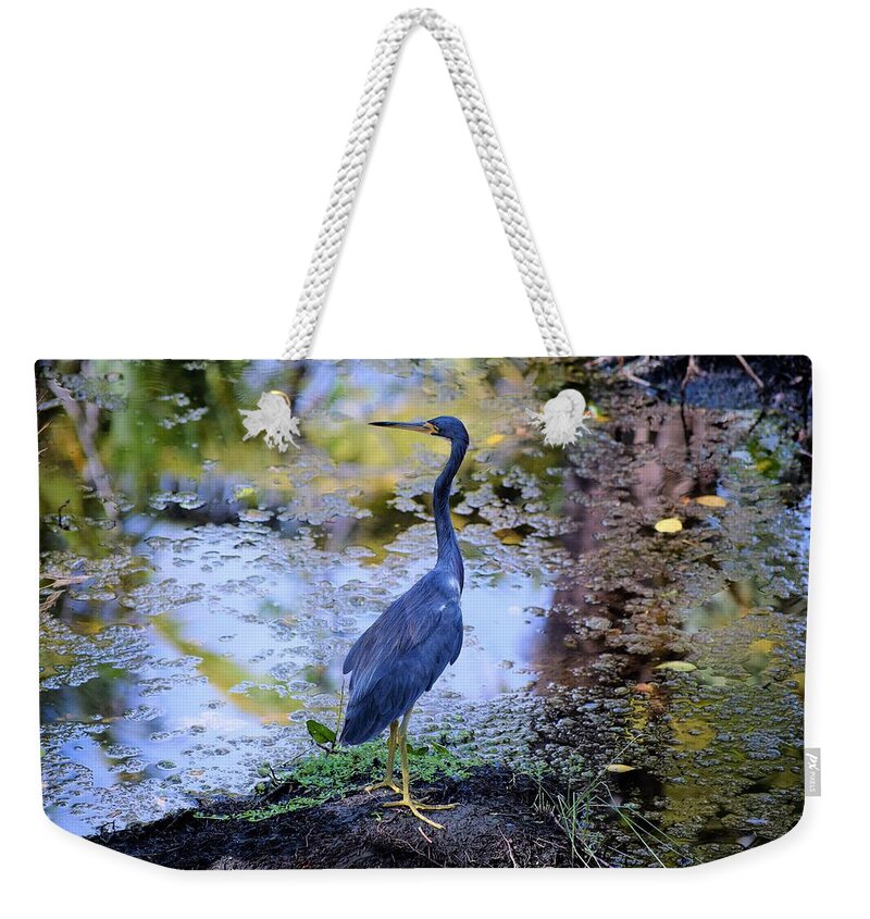 Bird Weekender Tote Bag featuring the photograph Photo 63 Blue Heron by Lucie Dumas
