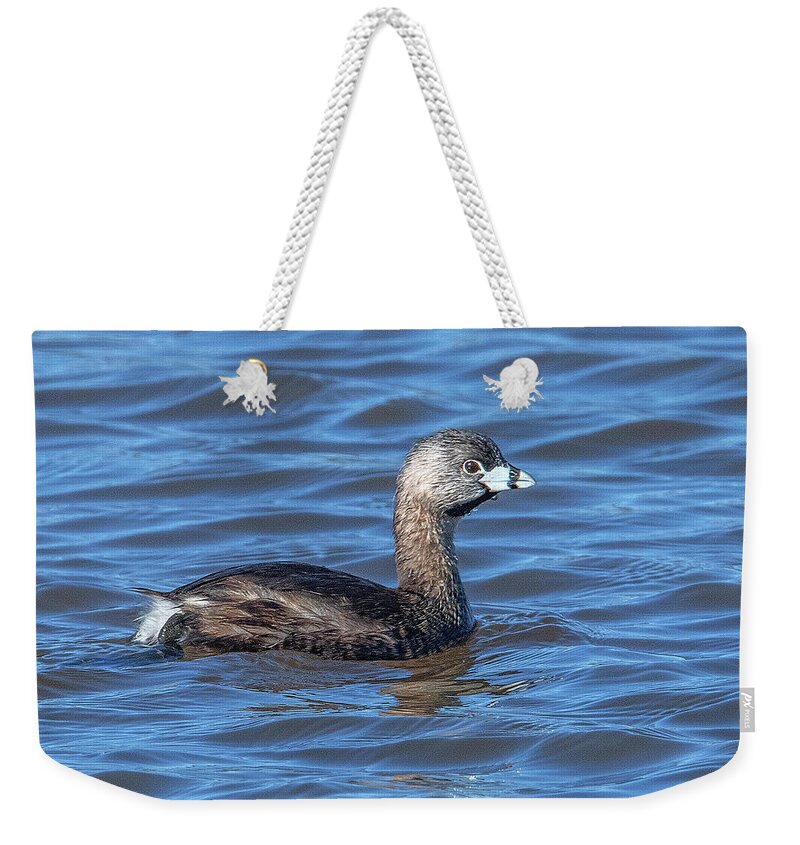 Nature Weekender Tote Bag featuring the photograph Pied-billed Grebe DWF0195 by Gerry Gantt