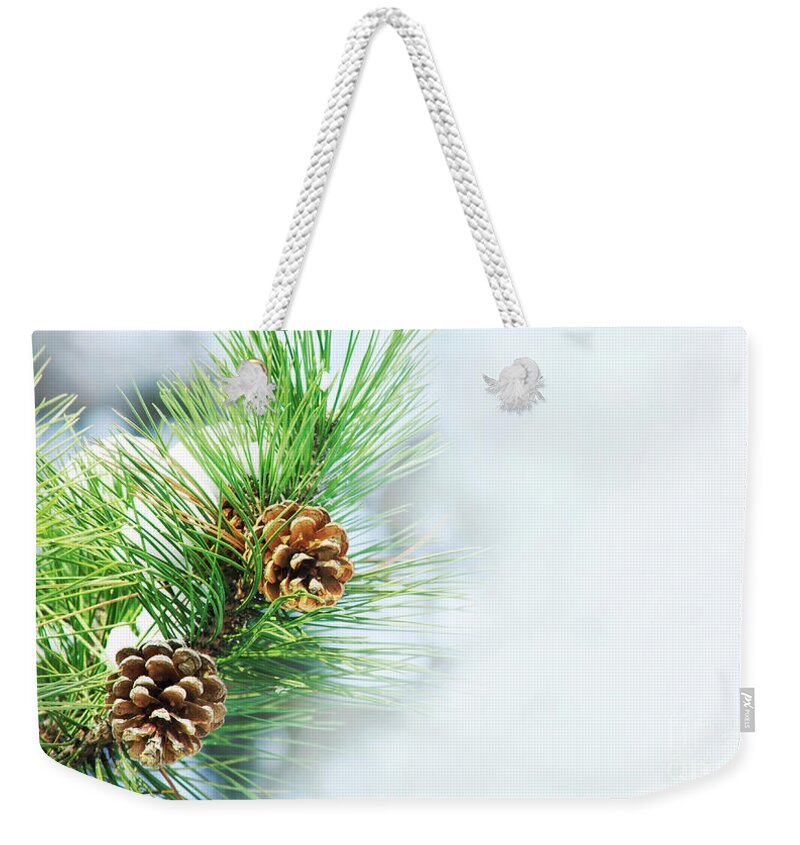 Pine Weekender Tote Bag featuring the photograph Pine Cone On Fir Tree Brunch Under Snow by Jelena Jovanovic