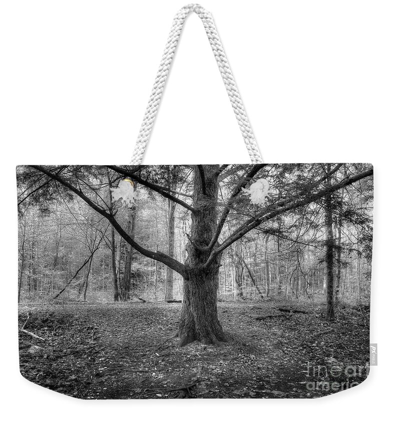 Pine Tree Weekender Tote Bag featuring the photograph Pine Tree by Mike Eingle