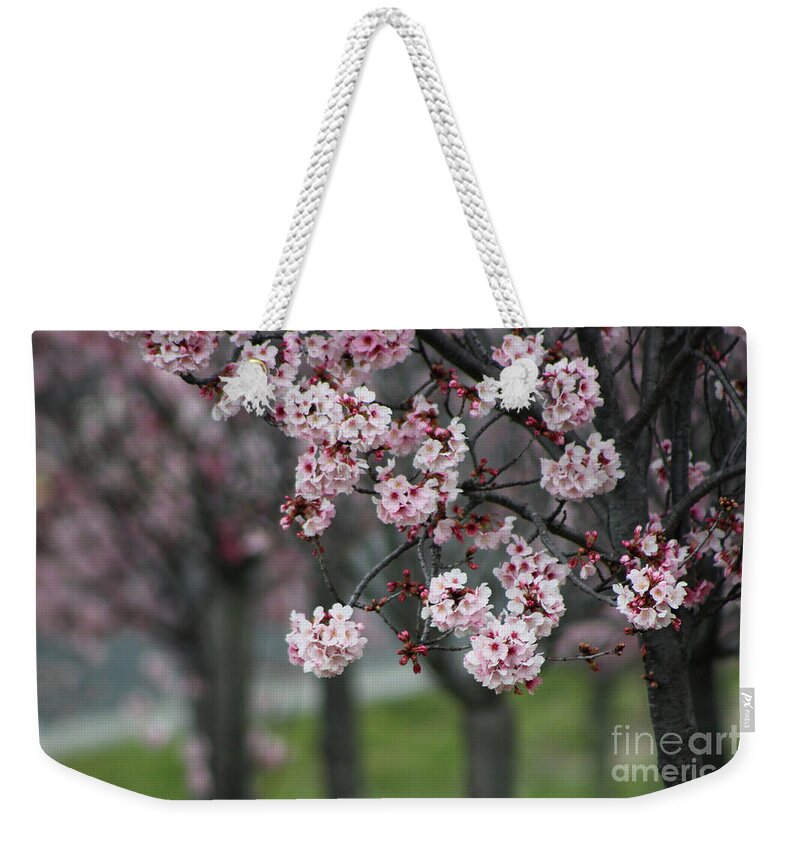 Misty Weekender Tote Bag featuring the photograph Pink Blossoms in Foreground at Reagan Library 2 by Colleen Cornelius