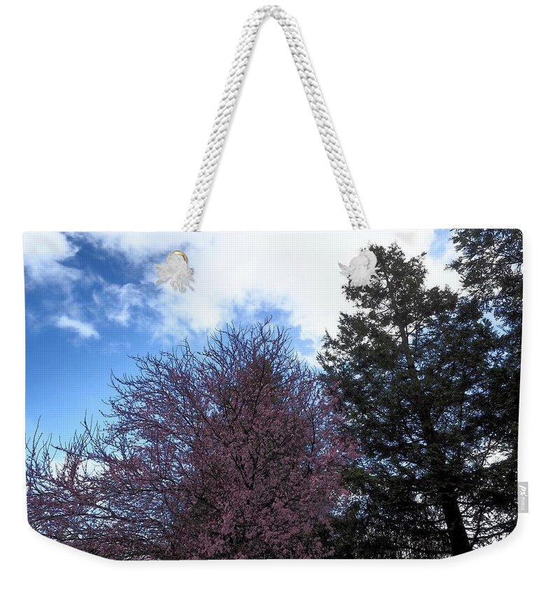 Winter Weekender Tote Bag featuring the photograph Pink Blossoms In Winter by Richard Thomas