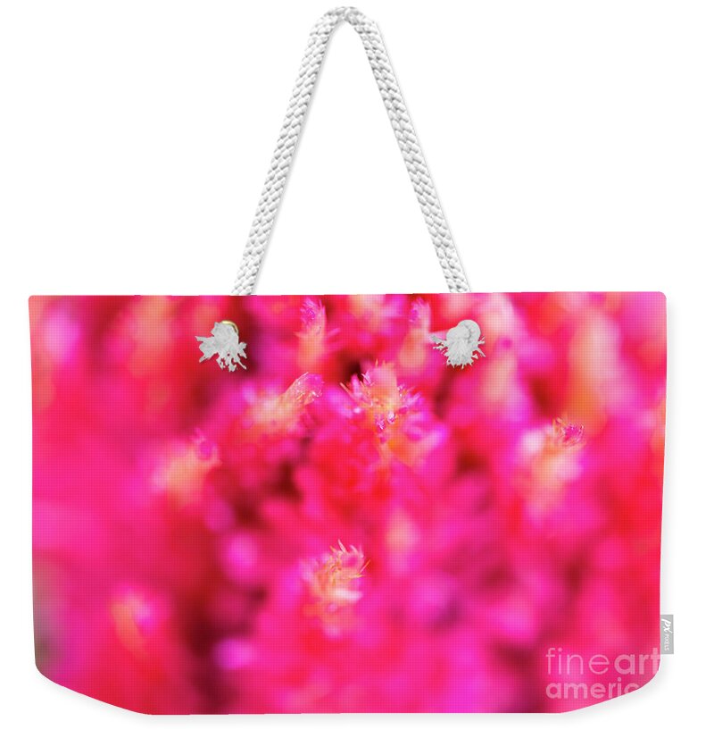 Abstract Weekender Tote Bag featuring the photograph Pink Celosia Flower Abstract by Raul Rodriguez