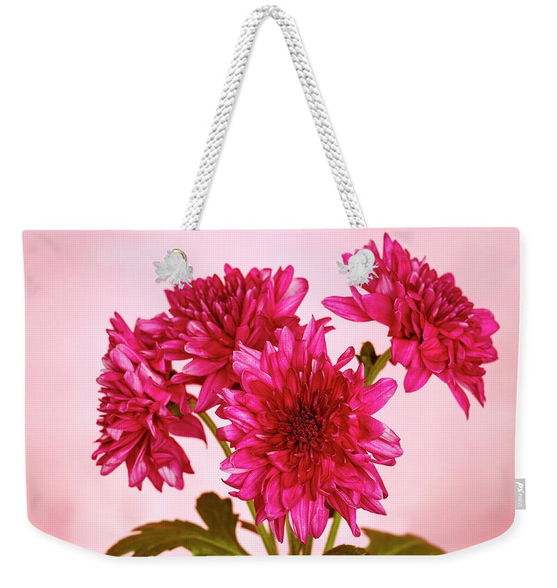 Chrysanth Weekender Tote Bag featuring the photograph Pink Chrysanths by Tanya C Smith