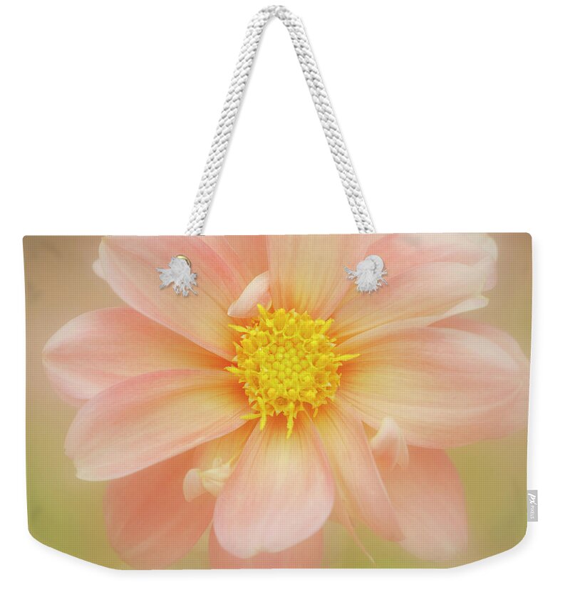 Petal Weekender Tote Bag featuring the photograph Pink Dahlia Flower by Kathleen Clemons