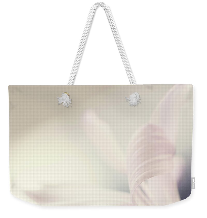 Atlanta Weekender Tote Bag featuring the photograph Pink Daisy by Leanne Godbey
