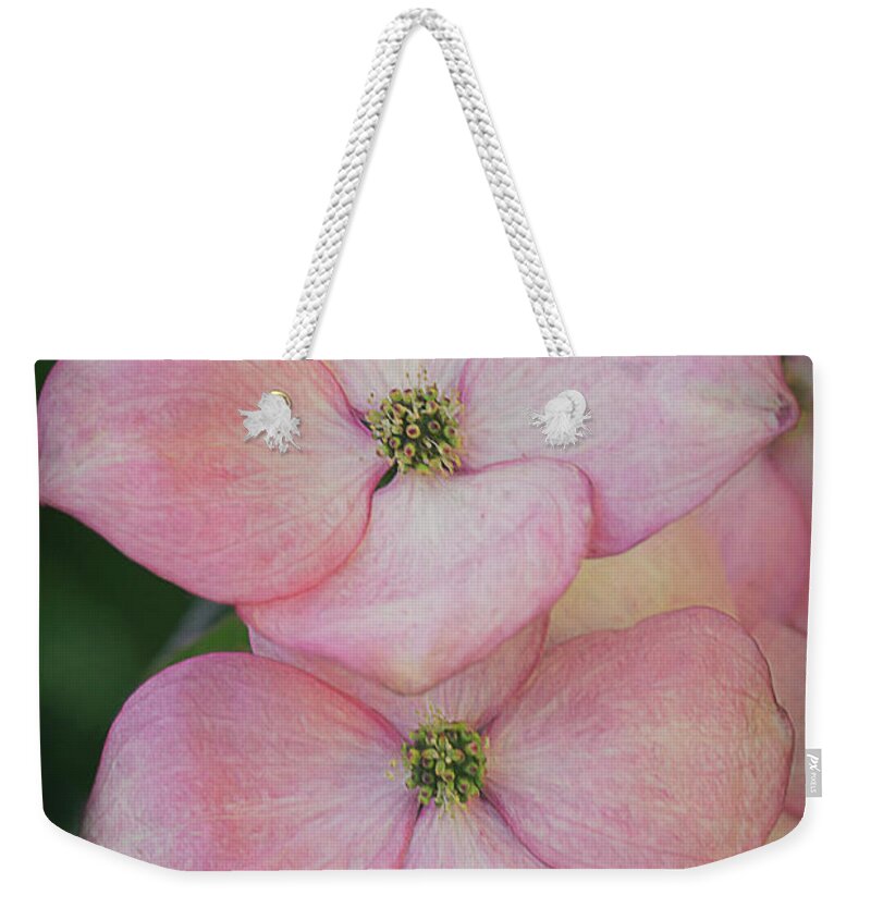 Pink Weekender Tote Bag featuring the photograph Pink Dogwood Blossoms by TL Wilson Photography by Teresa Wilson
