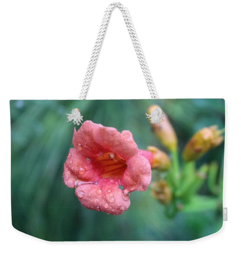 Pink Weekender Tote Bag featuring the photograph Pink Four O Clock by Christopher Lotito