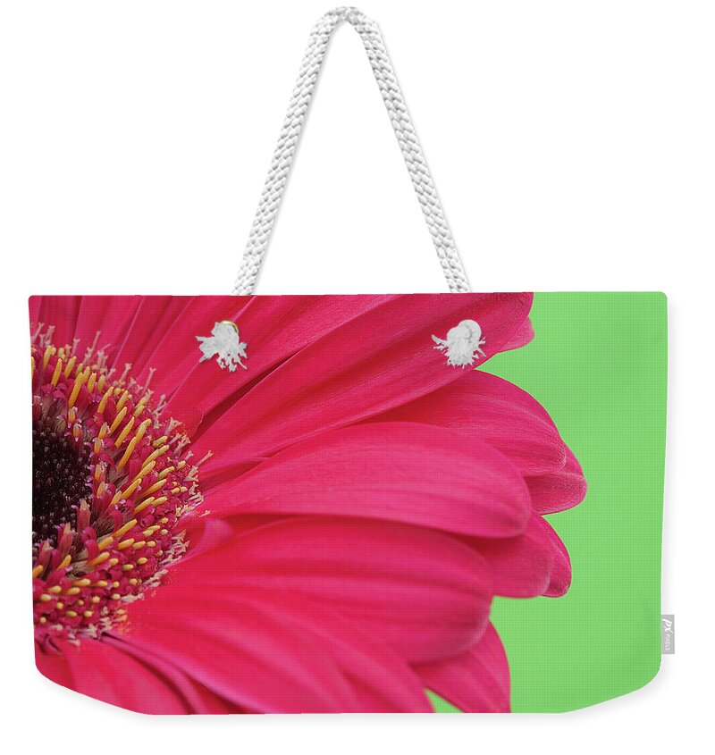 Petal Weekender Tote Bag featuring the photograph Pink Gerbera by Kim Haddon Photography