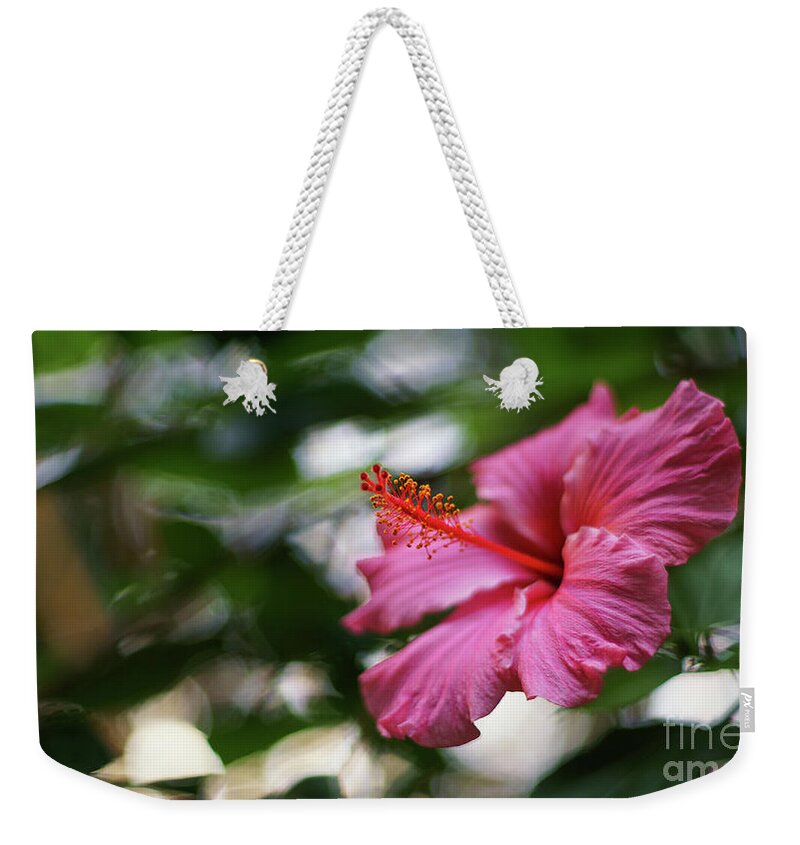 Beautiful Weekender Tote Bag featuring the photograph Pink Hibiscus Flower by Pablo Avanzini