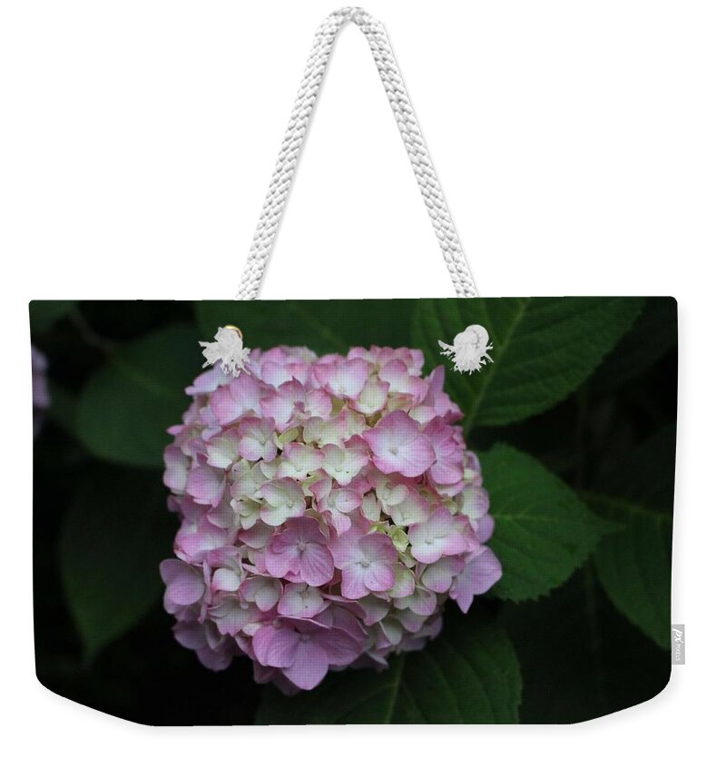 Pink Weekender Tote Bag featuring the photograph Pink Hydrangea by Christopher Lotito