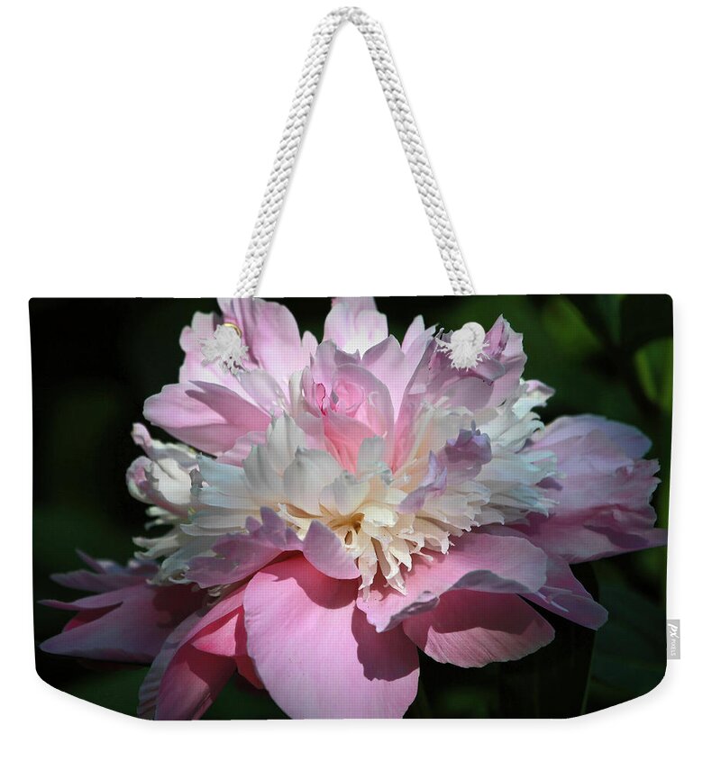Pink Sorbet Weekender Tote Bag featuring the photograph Pink Peony by Donna Kennedy