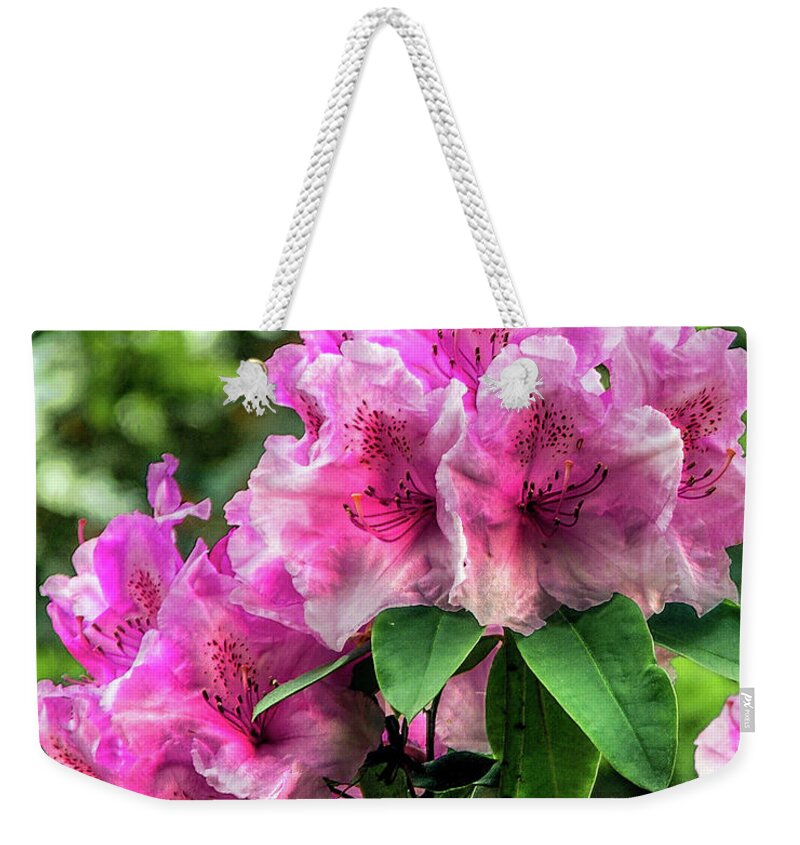 England Weekender Tote Bag featuring the photograph Pink Rhododendron by David Meznarich