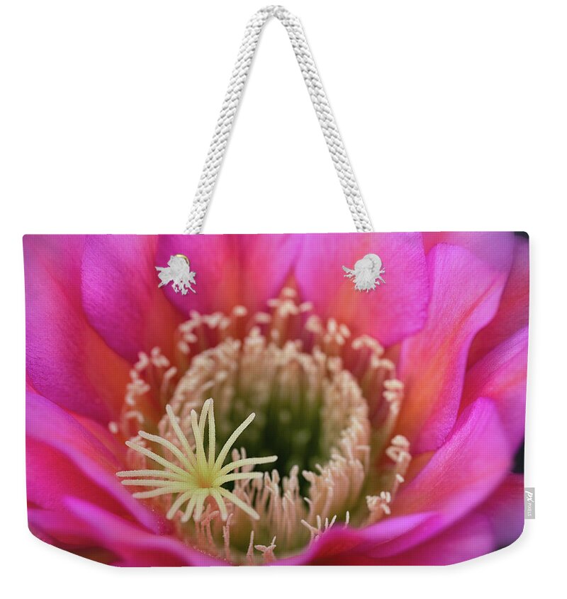 Pink Cactus Flower Weekender Tote Bag featuring the photograph Pink Up Close And Close Personal by Saija Lehtonen