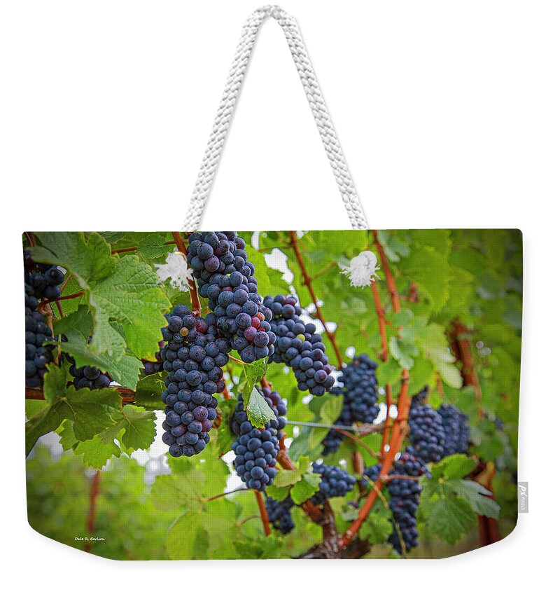 Grapes Weekender Tote Bag featuring the photograph Pinot Noir by Dale R Carlson