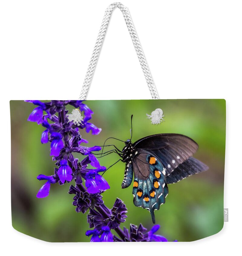Pipevine Swallowtail Weekender Tote Bag featuring the photograph Pipevine Swallowtail by Debra Martz