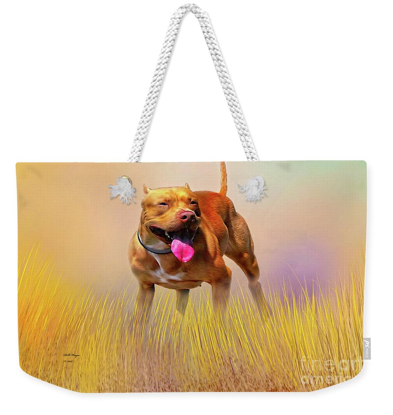 Dogs Weekender Tote Bag featuring the mixed media Pity - A Pitbull Dog by DB Hayes