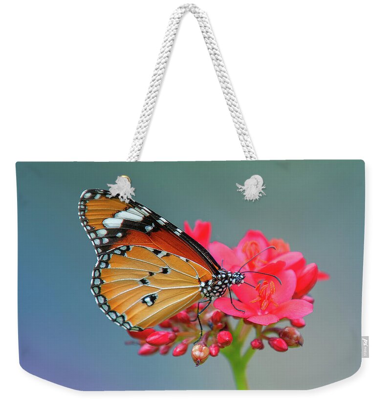 Bangkok Weekender Tote Bag featuring the photograph Plain Tiger or African Monarch Butterfly DTHN0246 by Gerry Gantt